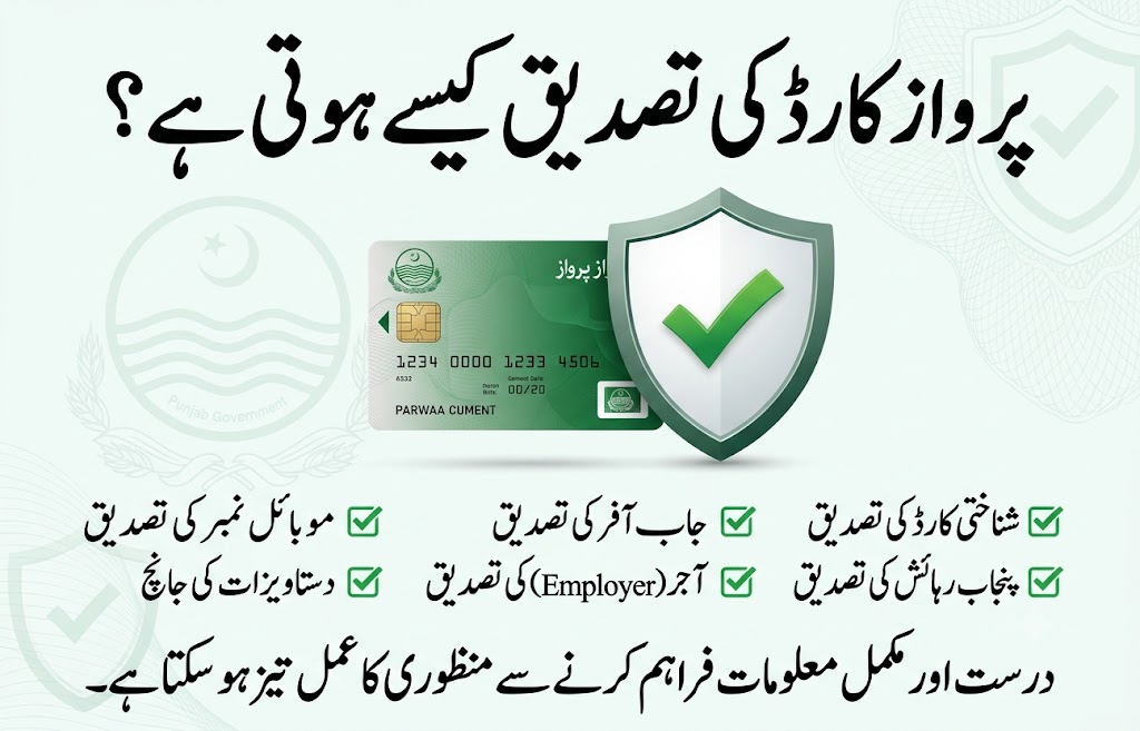 Parwaaz Card verification process infographic showing CNIC validation, Punjab residency verification, mobile number confirmation, job offer checks, employer verification, and document authenticity review